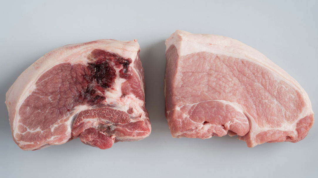 Thịt heo minh họa